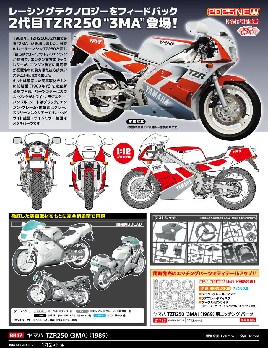 1/12 Yamaha TZR250 (3MA) 1989