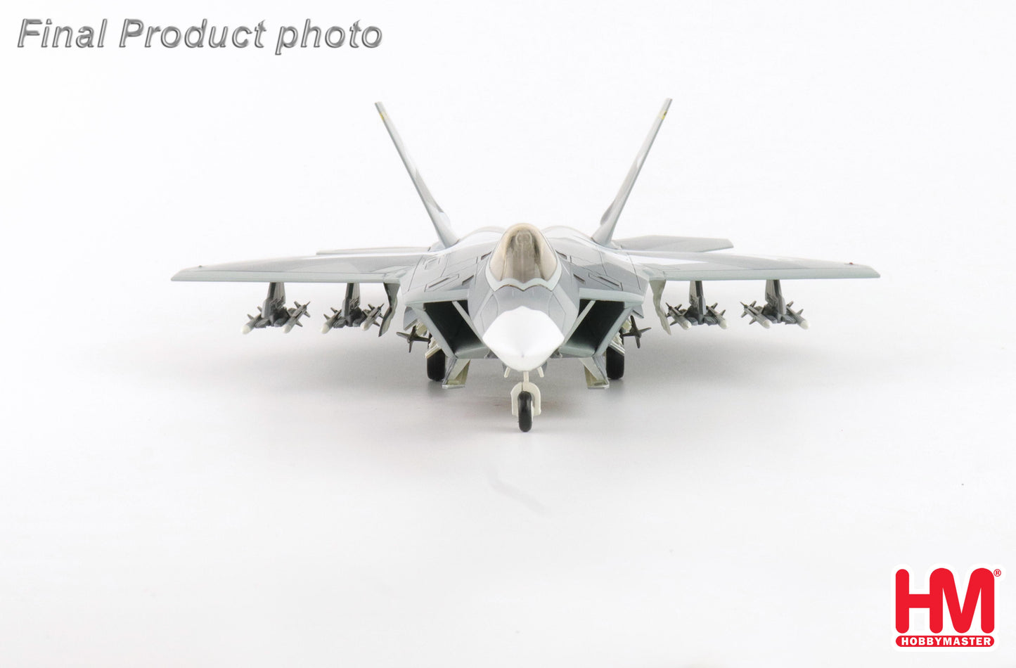 1/72 F-22 "Splinter Camouflage" USAF (Fictitious Scheme)