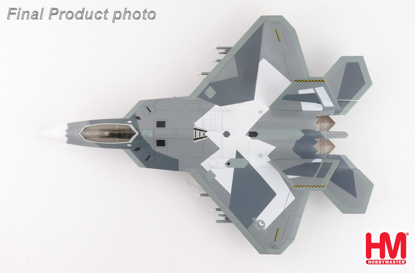 1/72 F-22 "Splinter Camouflage" USAF (Fictitious Scheme)