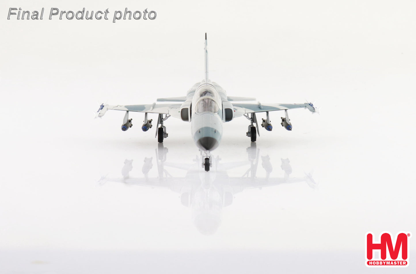 1/72 F-5F Tiger II 73-0891 58th TTW USAF Williams AFB 1979