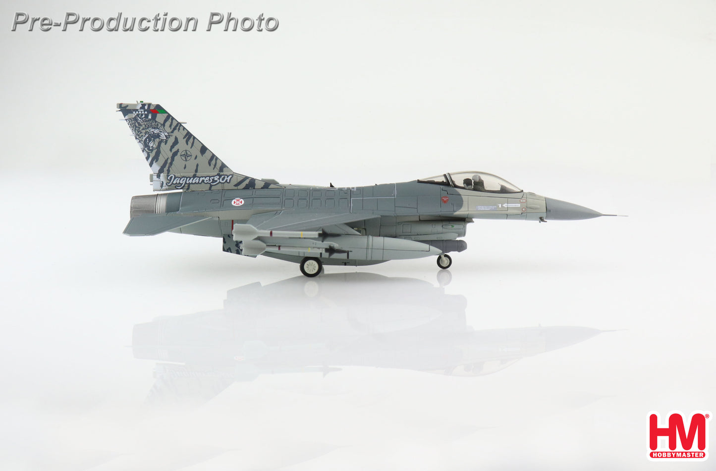 1/72 F-16AM Fighting Falcon 301 Sq. "Jaguares" Portuguese Air Force "NATO Tiger Meet 2011"