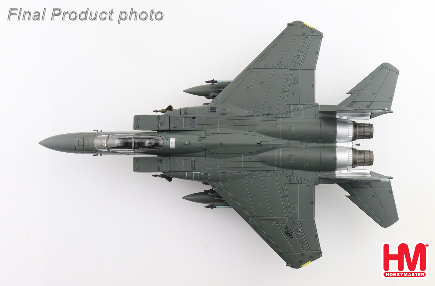 1/72 F-15E "Mi-24 Killer" 89-0487 335th TFS/4th TFW Saudi Arabia Jan 1991 (with 4 x GBU-10)