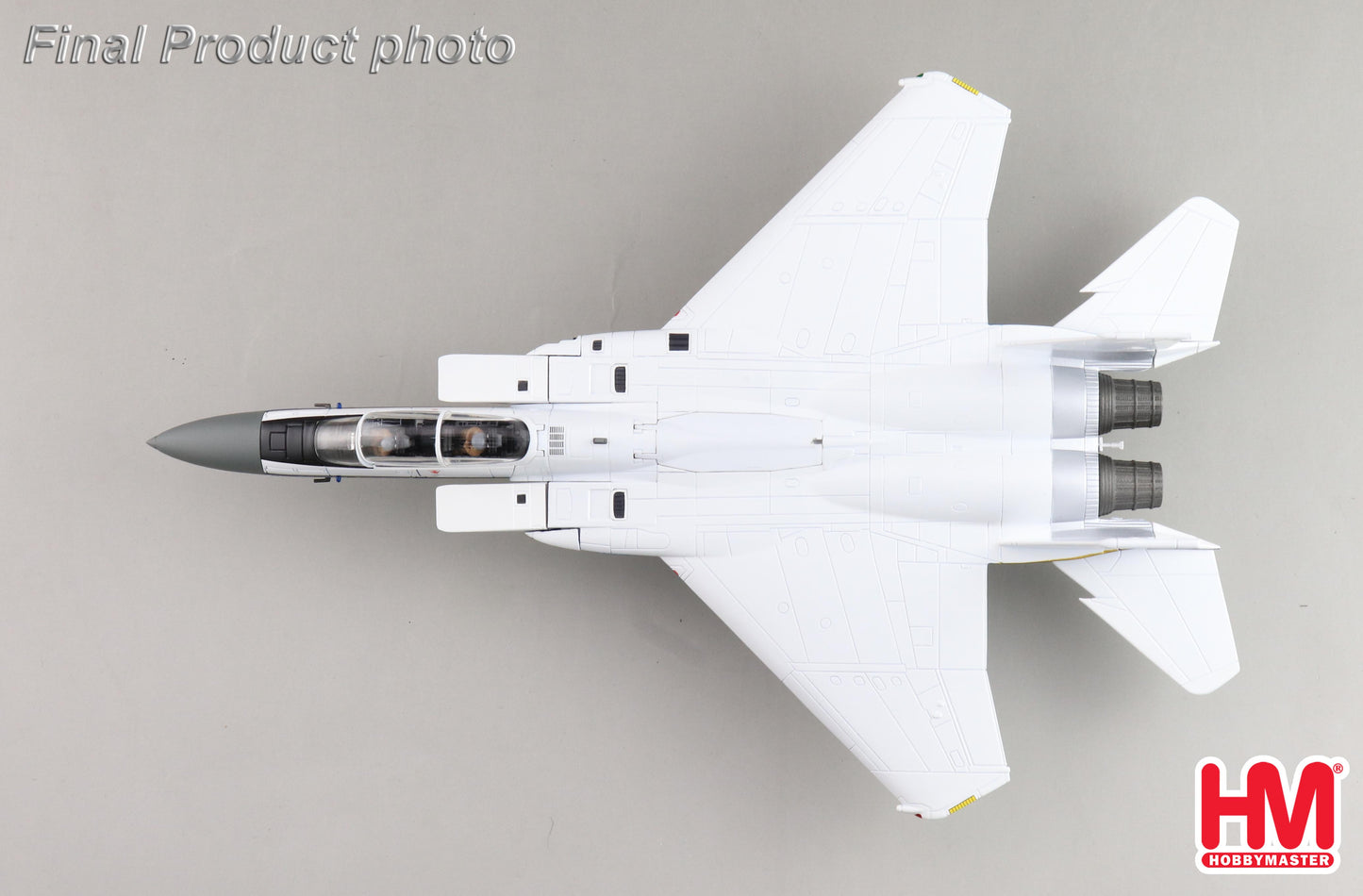 1/72 F-15B "NASA" 836 Edwards AFB Airshow 2022 (with 1x AIM-54 Missile)