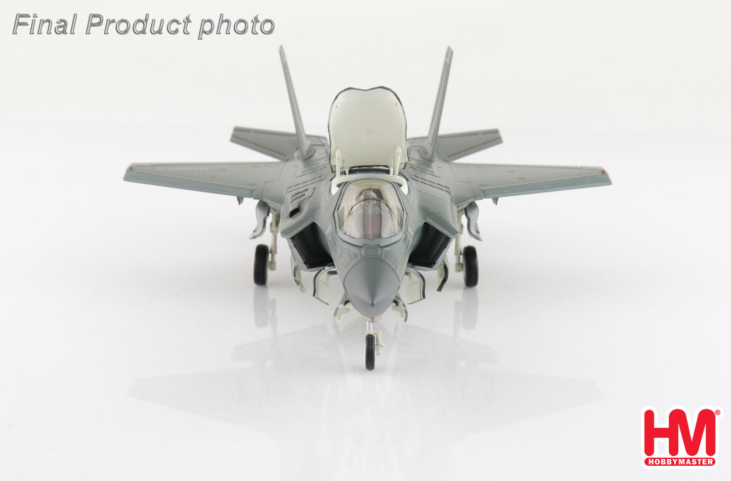 1/72 F-35B "Black Death" 170064 VMFA-542 "Tigers" MCAS Cherry Point 2023