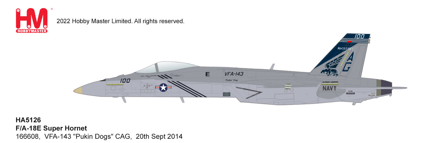 1/72 F/A-18E Super Hornet 166608 flown by Capt Scott Stearney VFA-143 "Pukin Dogs" 2009