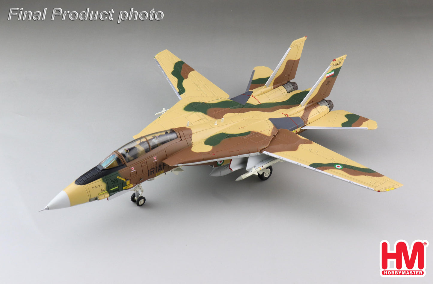 1/72 F-14A Tomcat 3-6020 82nd TFS IRIAF IRIAF Islamic Republic Of Iran Air Force Khatami Air Base 1987