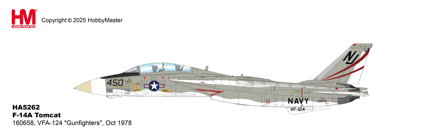 1/72 F-14A Tomcat 160658 VFA-124 "Gunfighters" Oct 1978