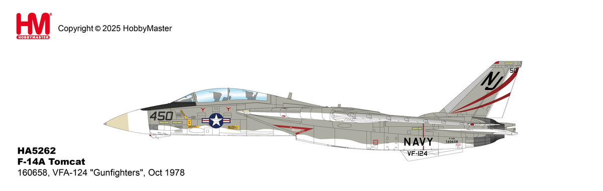 1/72 F-14A Tomcat 160658 VFA-124 "Gunfighters" Oct 1978