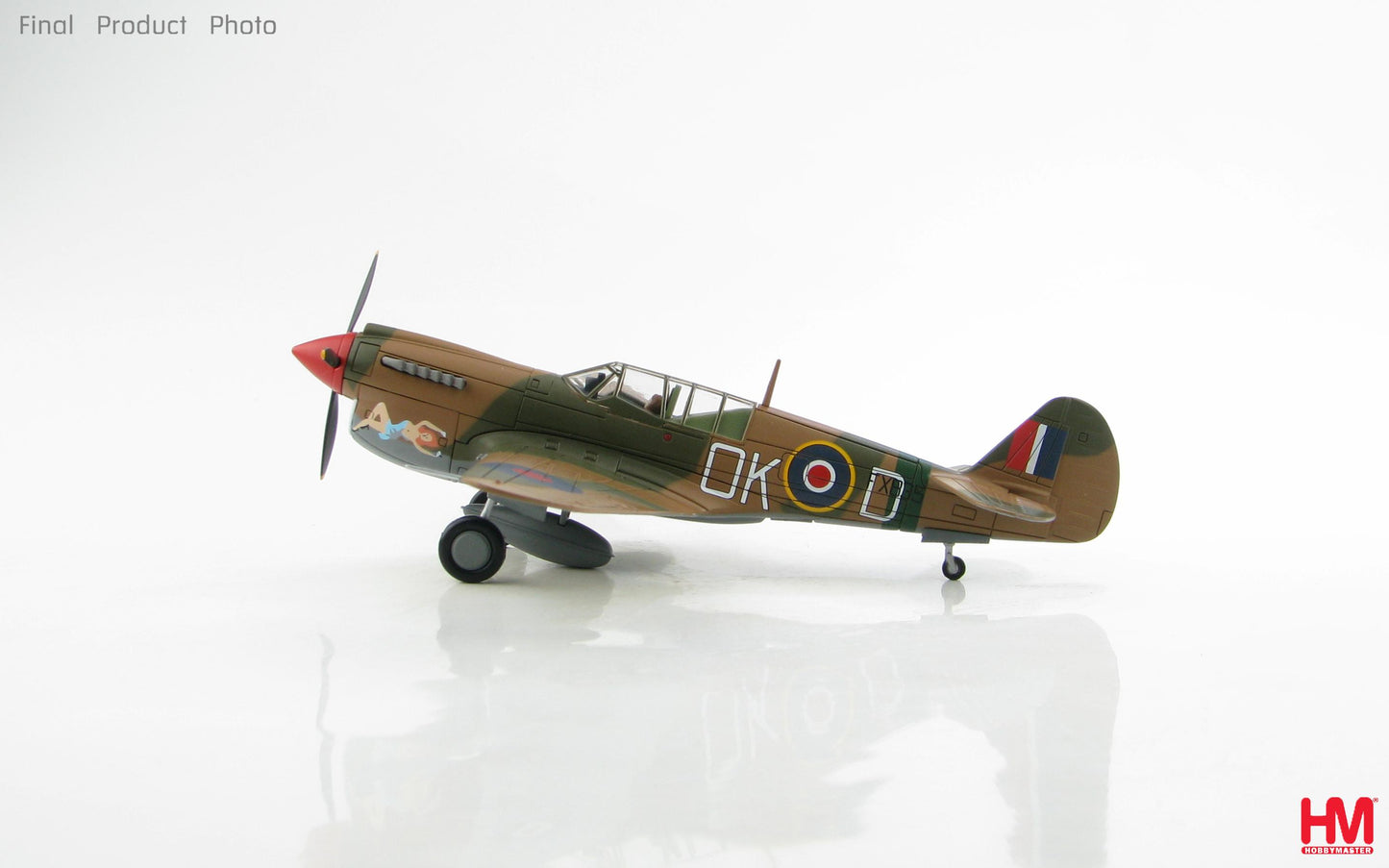 1/72 P-40N Kittyhawk FX-835 "No Orchids" 450 Sqn. RAAF Vasto Italy Early 1944