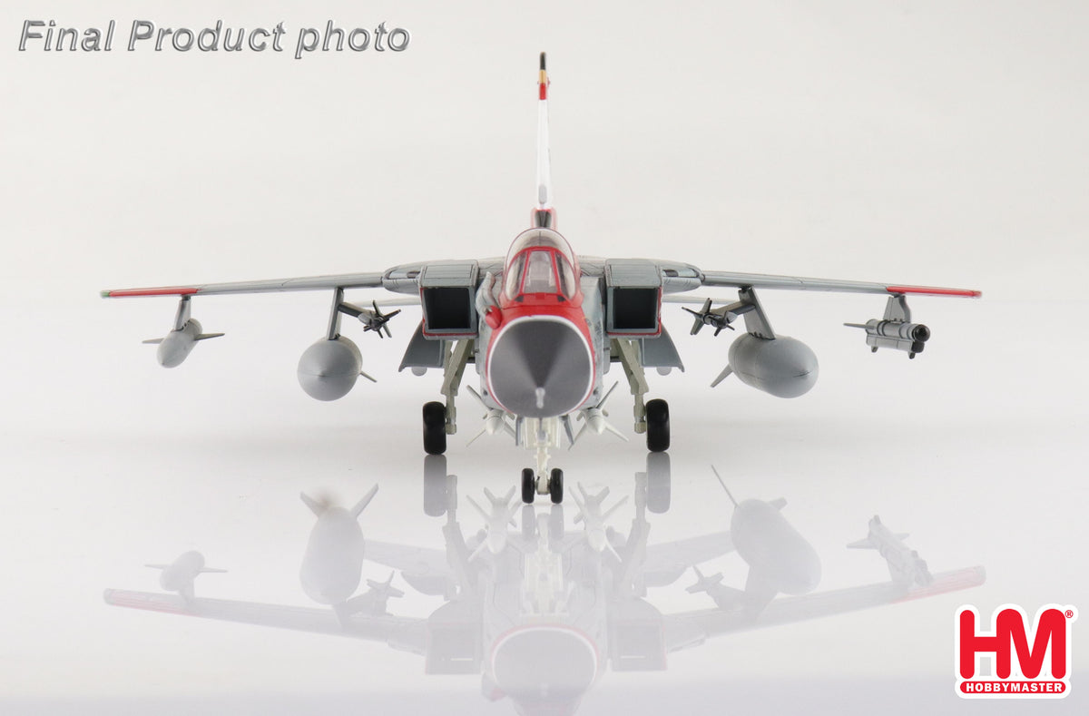 1/72 Tornado IDS "50 Years Anniversary" 43+97 WTD-61 Luftwaffe RIAT 2024