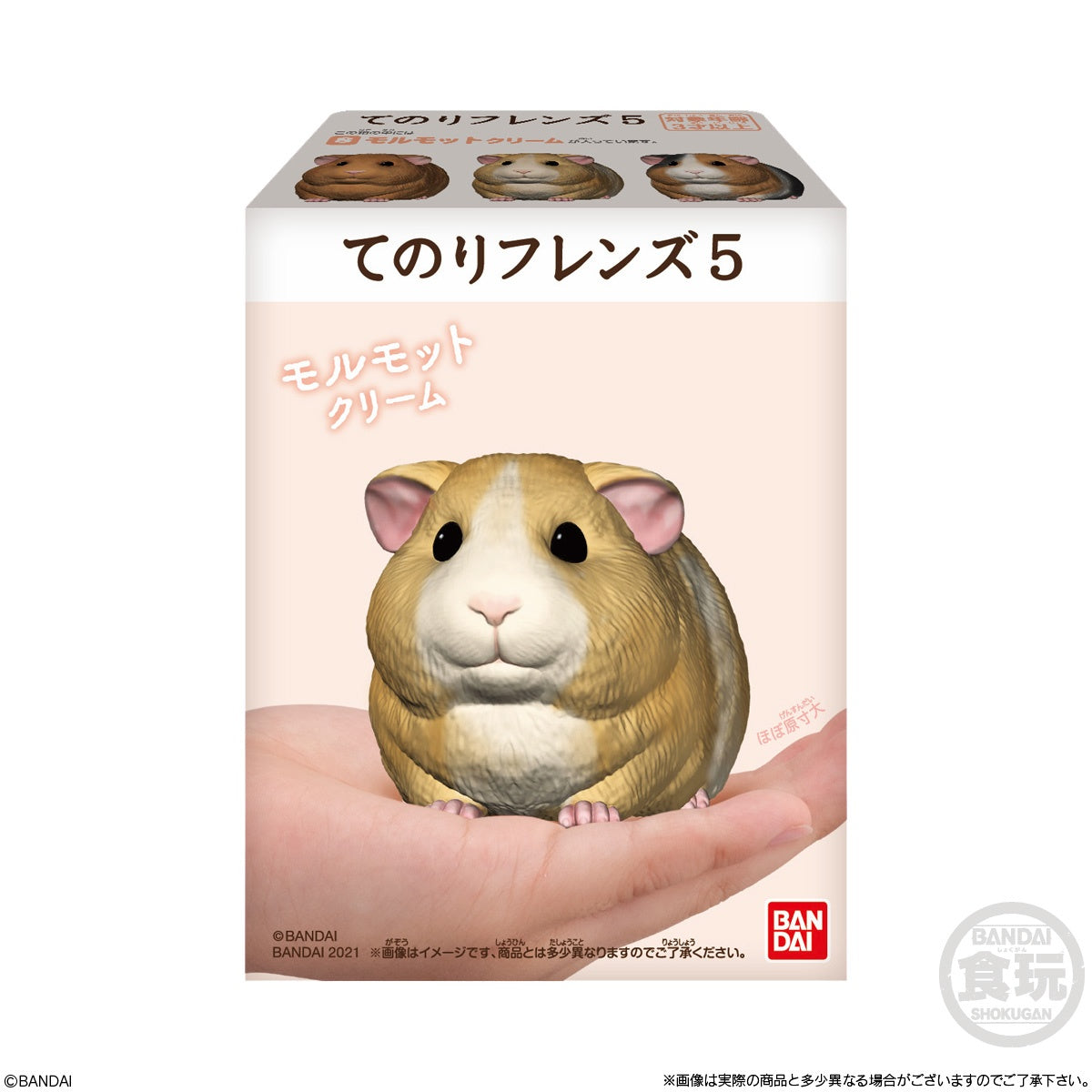 TENORI FRIENDS 5 W/O GUM