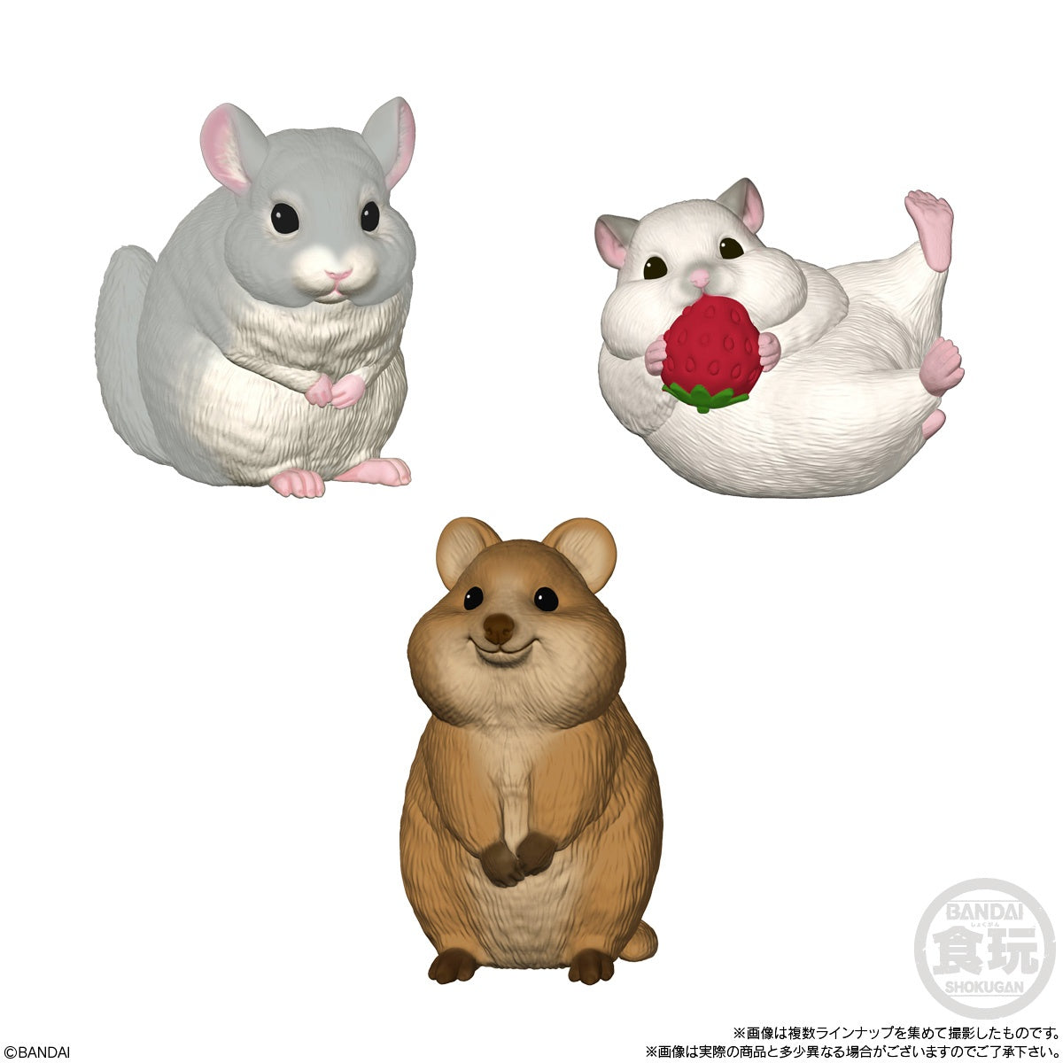 TENORI FRIENDS 5 W/O GUM