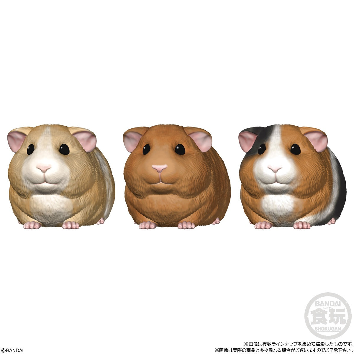 TENORI FRIENDS 5 W/O GUM