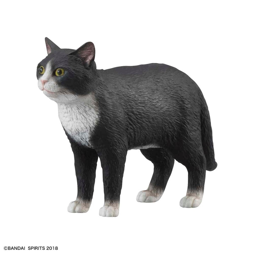 Neko Busou Tenko Mori