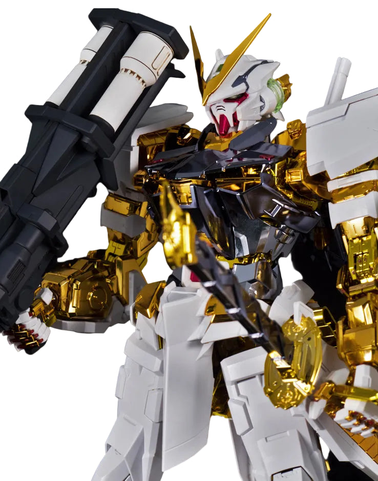 1/100 GUNDAM ASTRAY GOLD FRAME