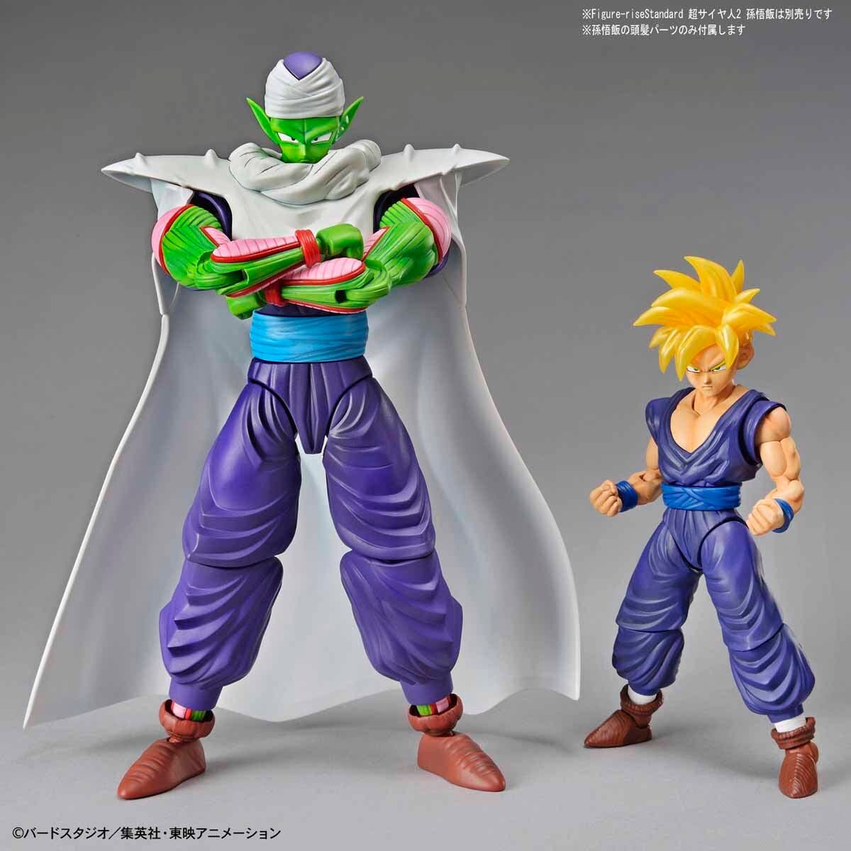 Figurerise Standard PICCOLO PKG renewal