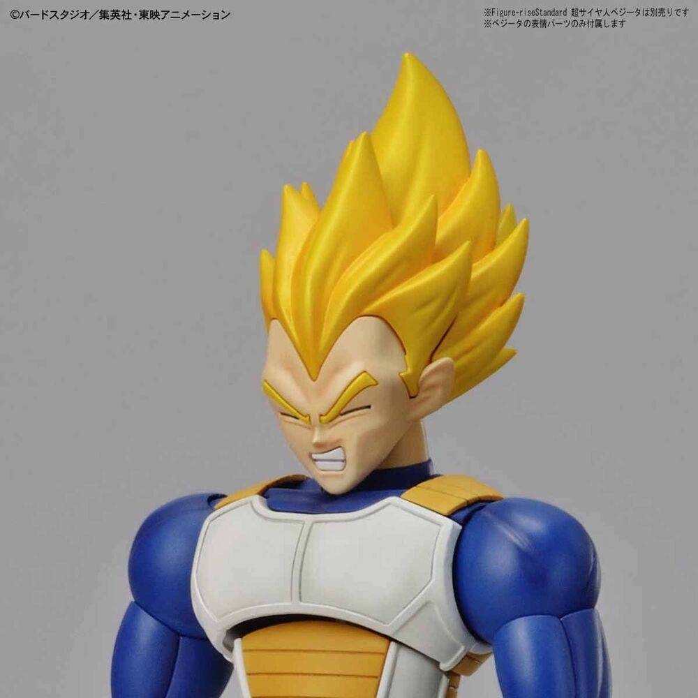 Figurerise Standard LEGENDARY SUPER SAIYAN BROLY PKG renewal