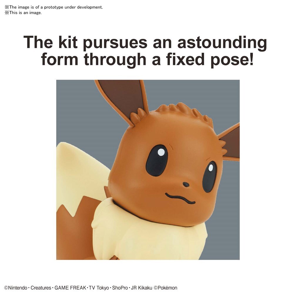 Pokemon Model Kit QUICK!! EEVEE