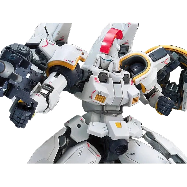 RG 1/144 TALLGEESE EW