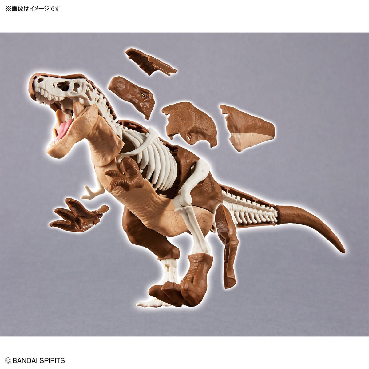 PLANNOSAURUS Model Kit Tyrannosaurus