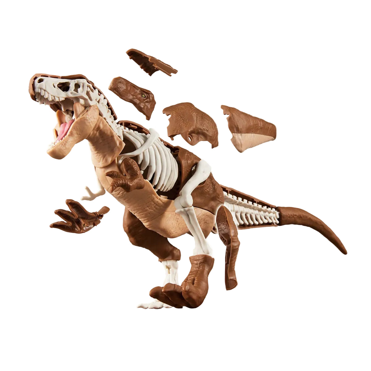 PLANNOSAURUS Tyrannosaurus