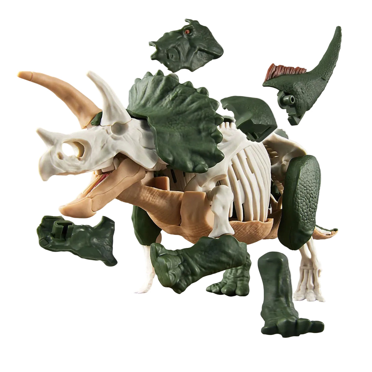 PLANNOSAURUS Triceratops
