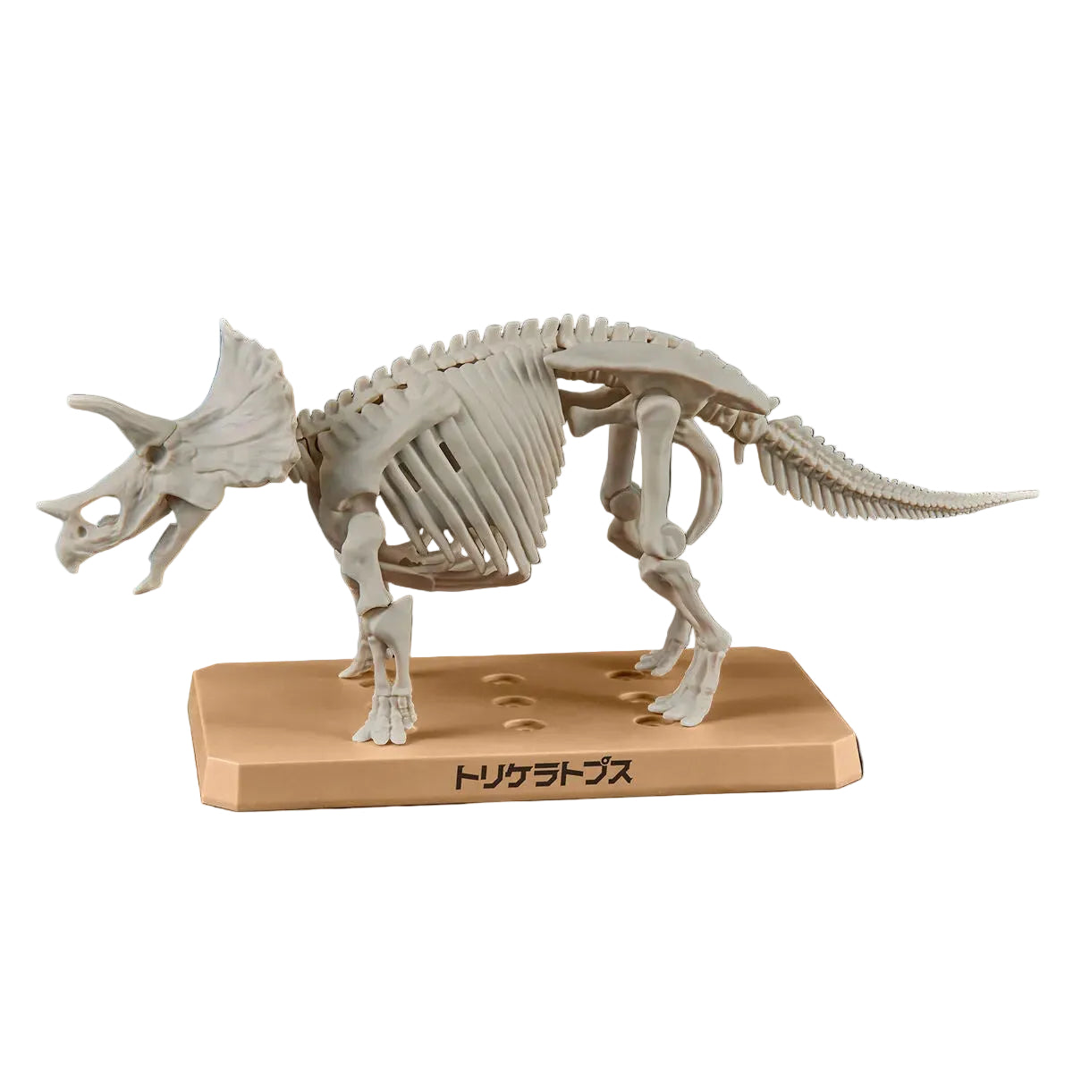 PLANNOSAURUS Triceratops