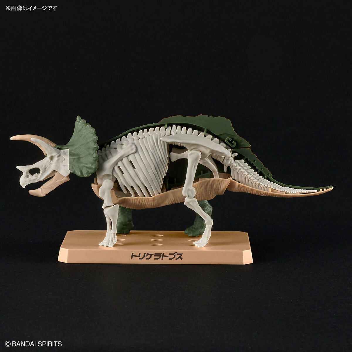 PLANNOSAURUS Triceratops