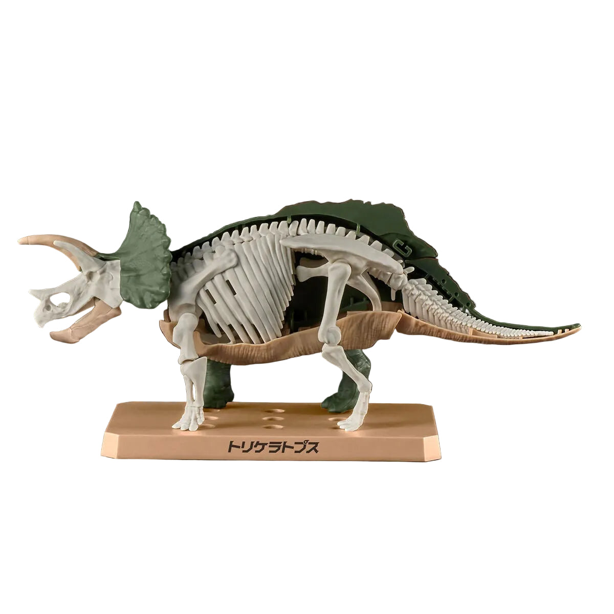 PLANNOSAURUS Triceratops