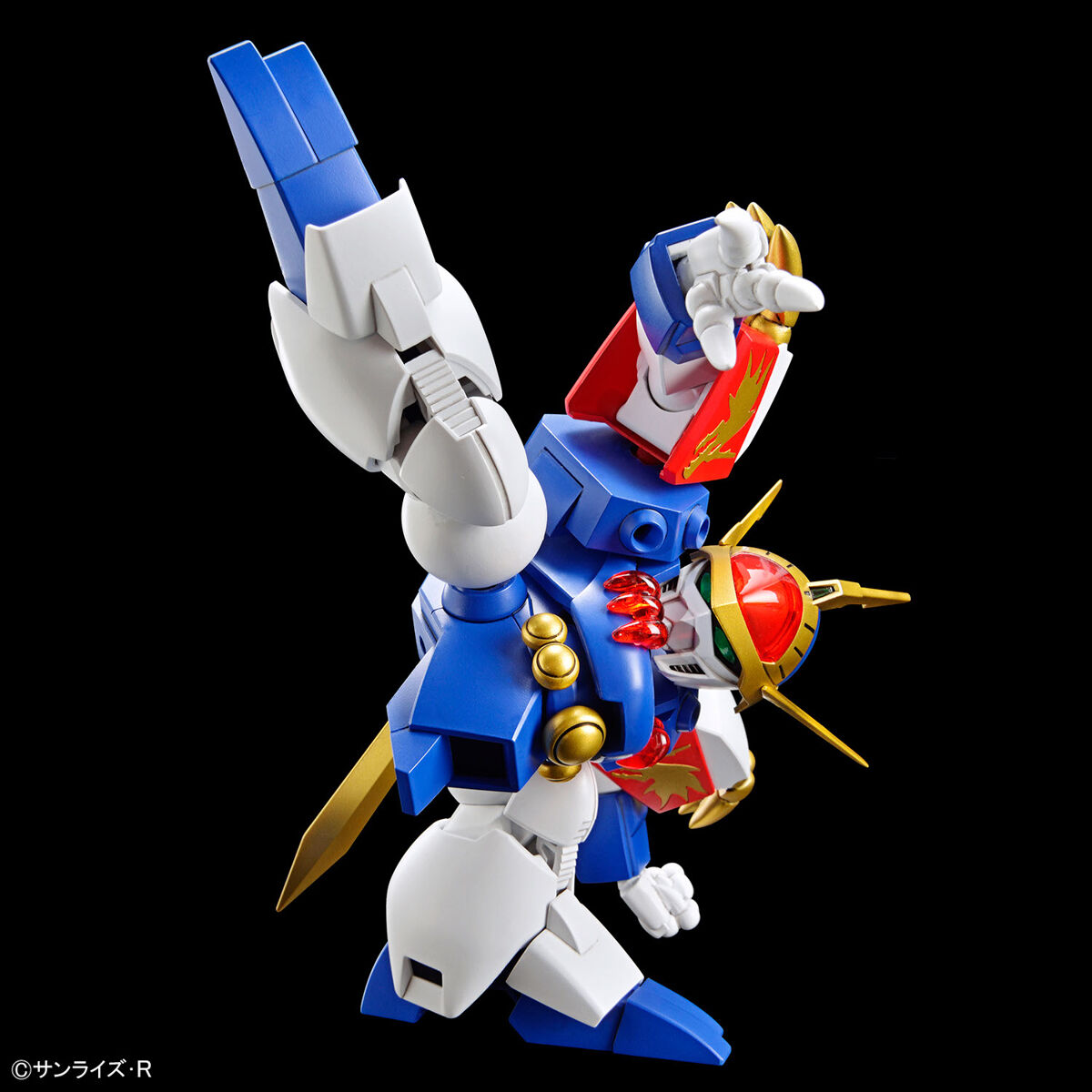 HG RYUJINMARU