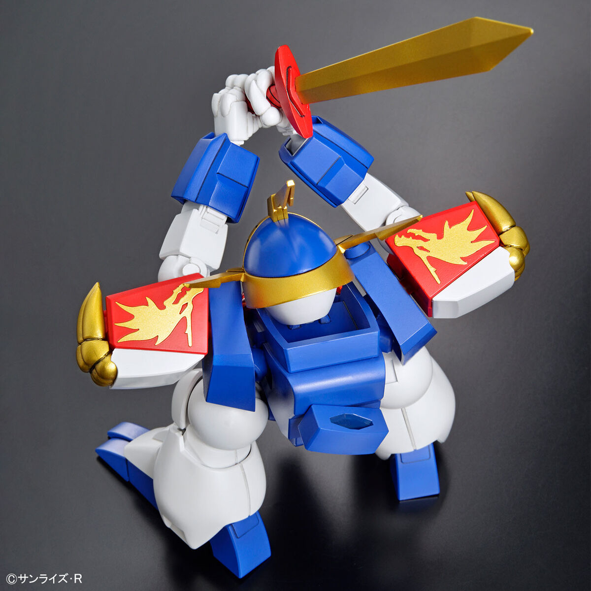 HG RYUJINMARU