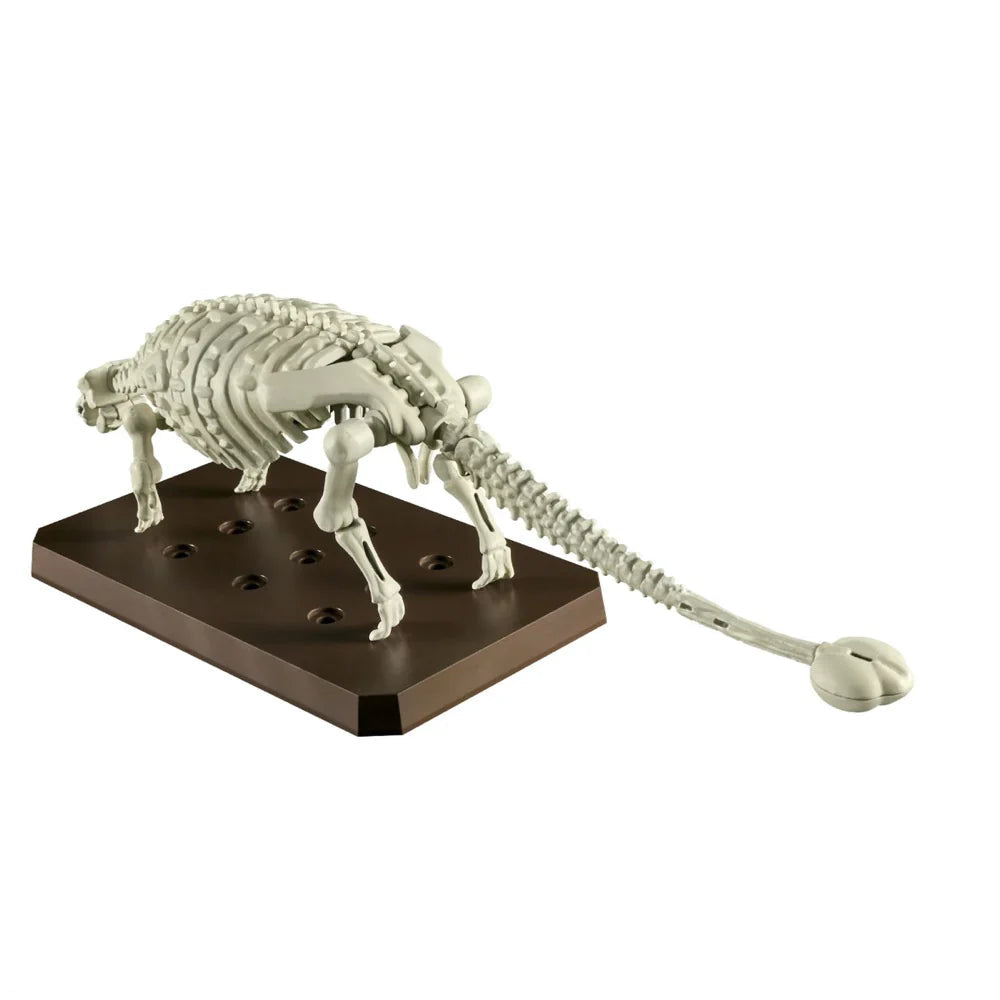 PLANNOSAURUS Ankylosaurus