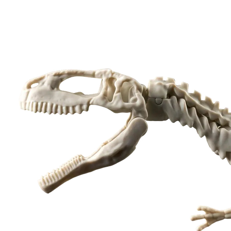 PLANNOSAURUS Giganotosaurus