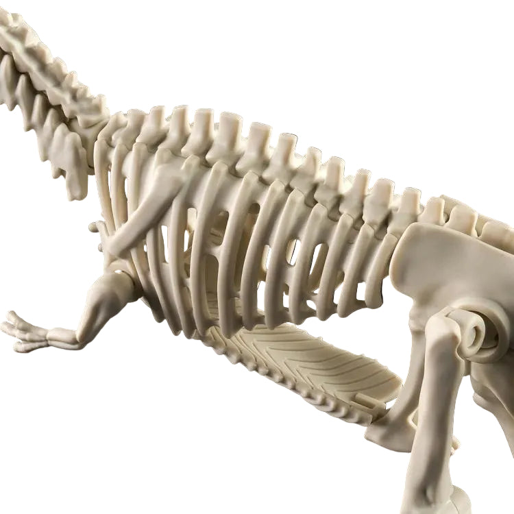 PLANNOSAURUS Giganotosaurus