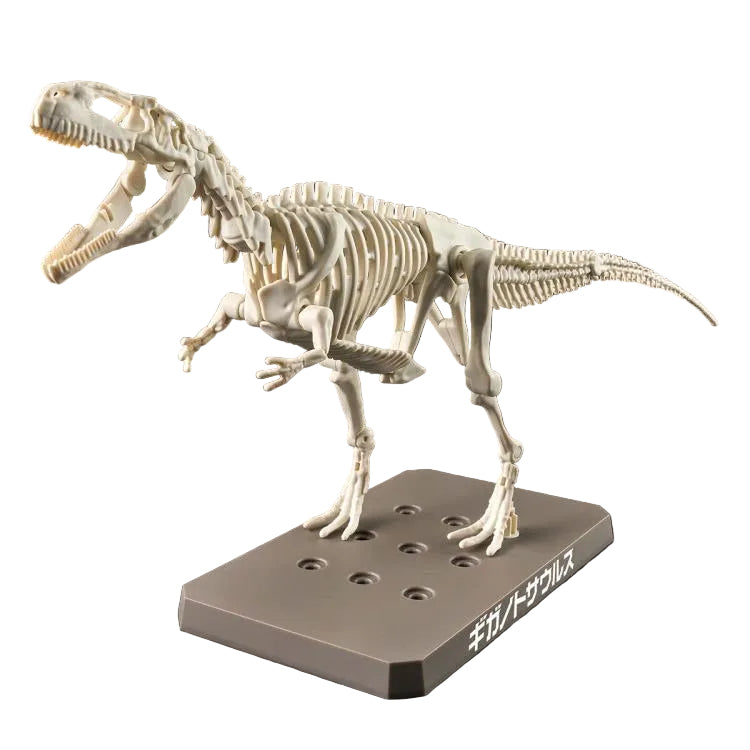 PLANNOSAURUS Giganotosaurus