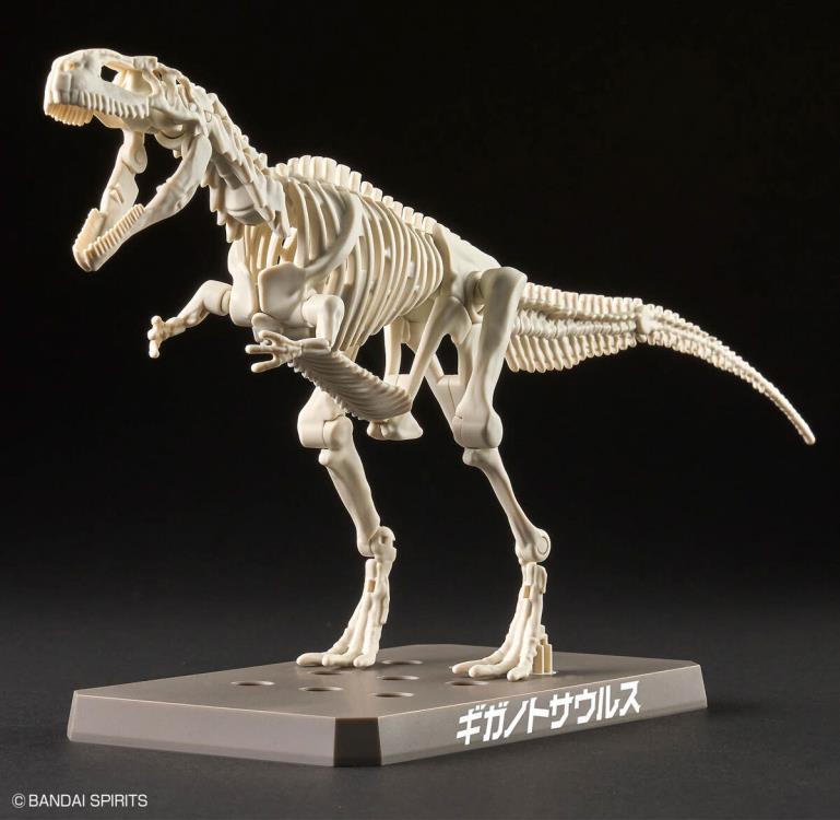 PLANNOSAURUS Giganotosaurus