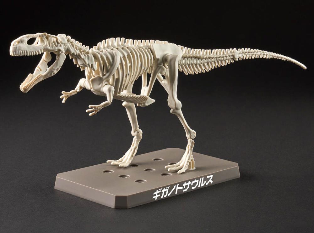 PLANNOSAURUS Giganotosaurus