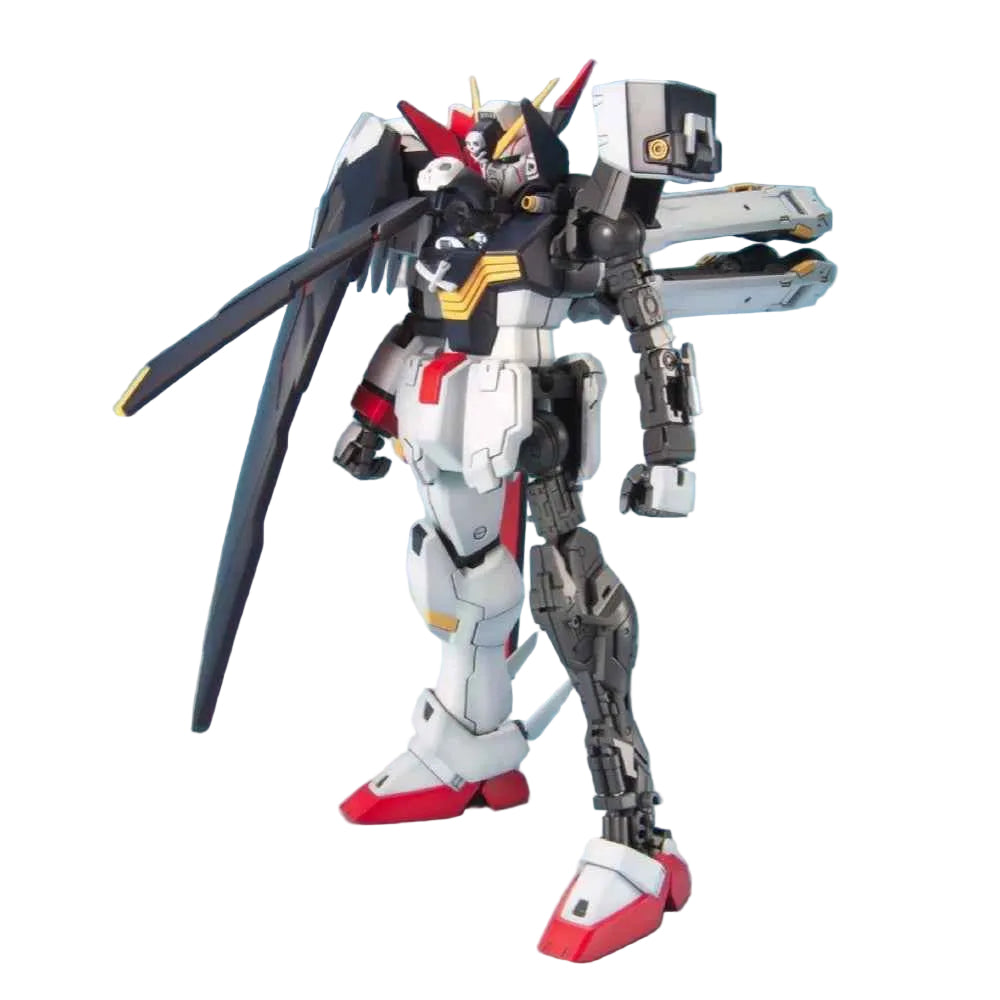MG 1/100 CROSSBONE FULL CLOTH
