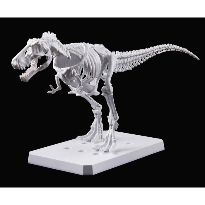 PLANNOSAURUS Tyrannosaurus Painting Ver.