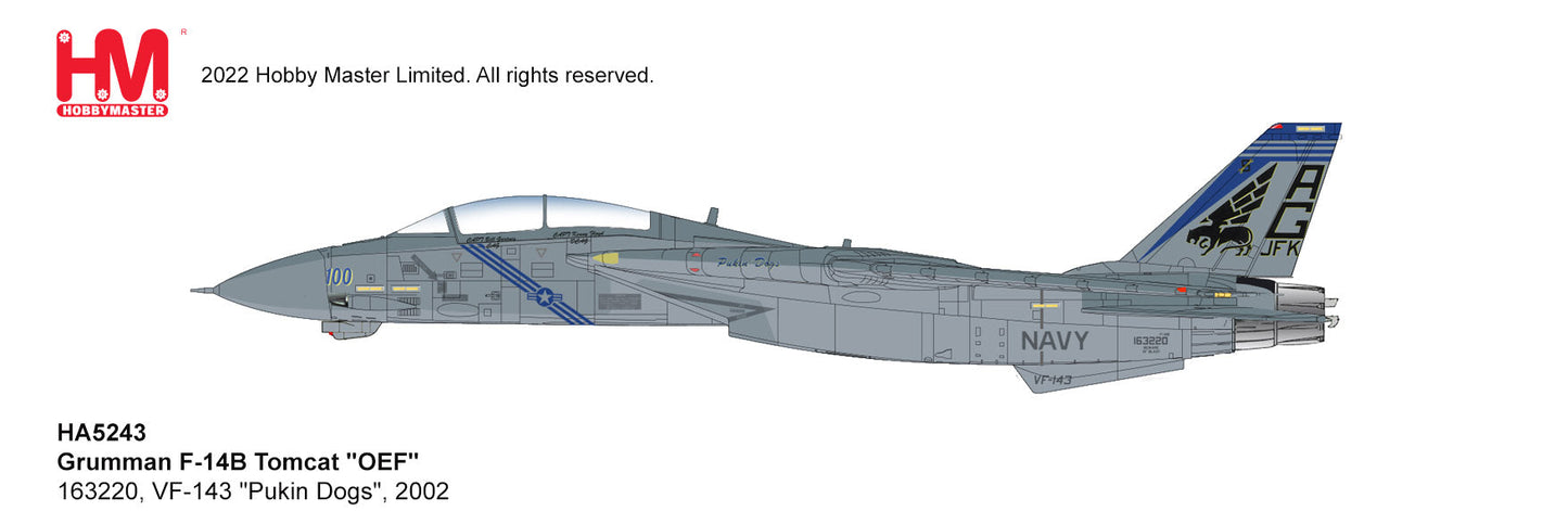 1/72 F-14B Tomcat "OEF" 163220 VF-143 "Pukin Dogs" 2002