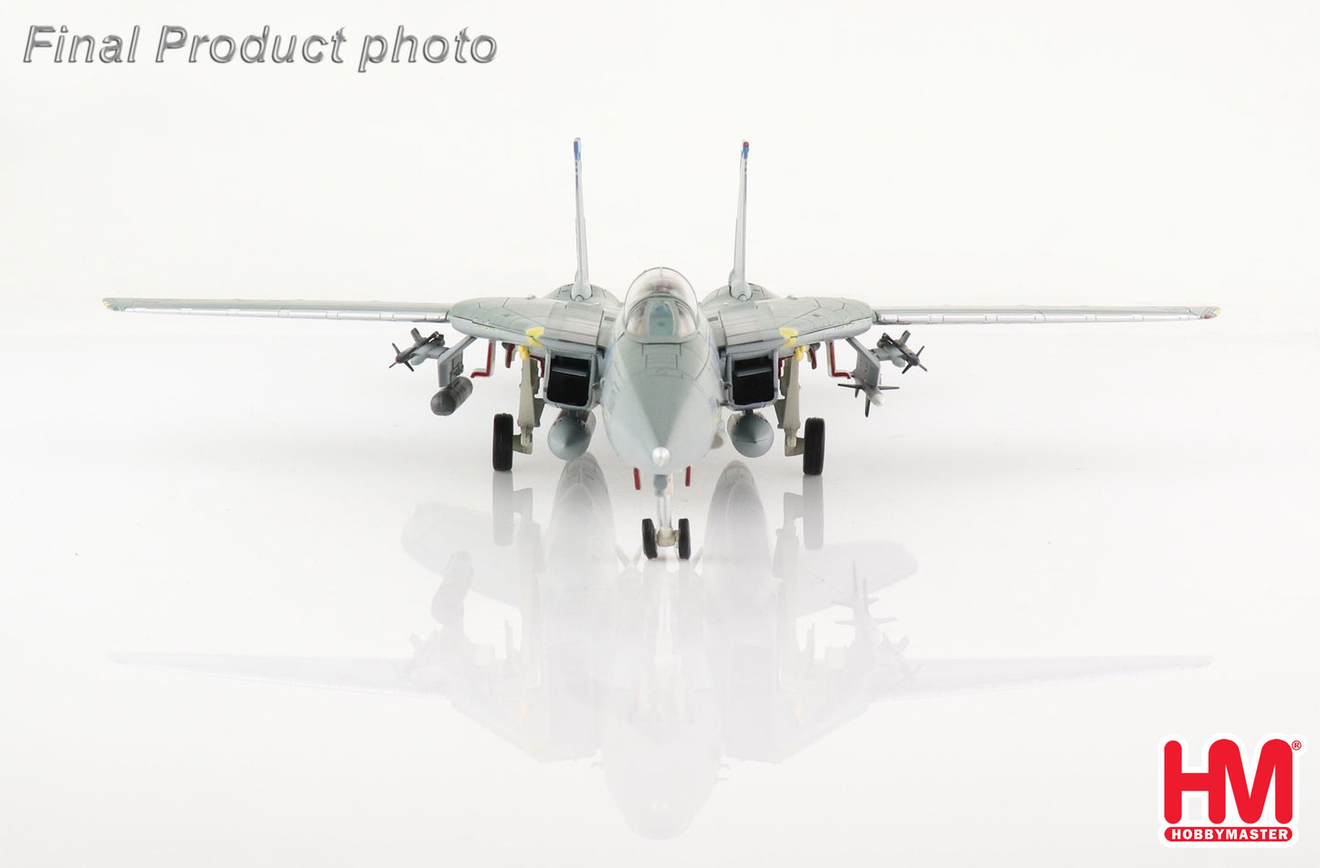 1/72 F-14B Tomcat "OEF" 163220 VF-143 "Pukin Dogs" 2002