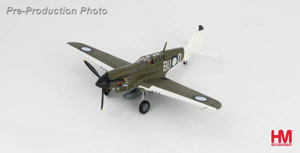 1/72 P-40N "Angry Bee" BU-O flown by Lt. Ken Goldring 80 Squadron RAAF Nov 1944