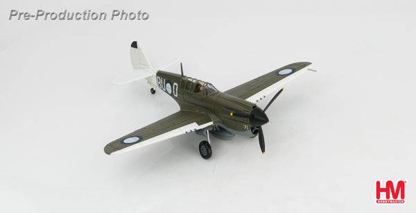 1/72 P-40N "Angry Bee" BU-O flown by Lt. Ken Goldring 80 Squadron RAAF Nov 1944