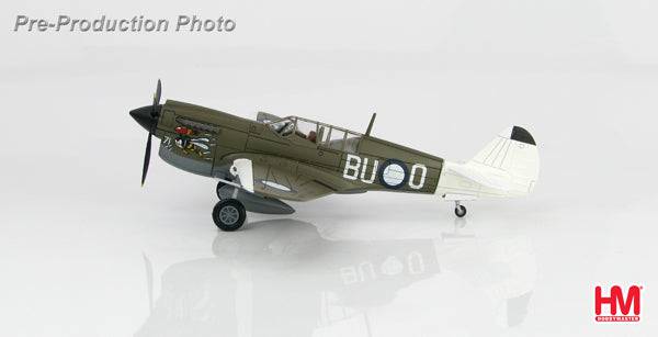 1/72 P-40N "Angry Bee" BU-O flown by Lt. Ken Goldring 80 Squadron RAAF Nov 1944