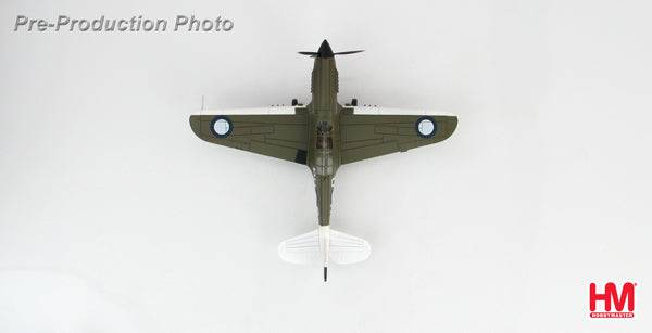 1/72 P-40N "Angry Bee" BU-O flown by Lt. Ken Goldring 80 Squadron RAAF Nov 1944