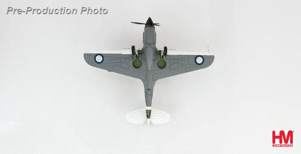 1/72 P-40N "Angry Bee" BU-O flown by Lt. Ken Goldring 80 Squadron RAAF Nov 1944