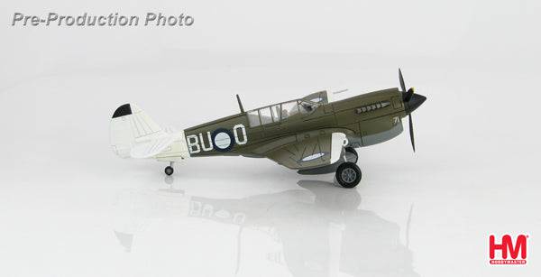 1/72 P-40N "Angry Bee" BU-O flown by Lt. Ken Goldring 80 Squadron RAAF Nov 1944