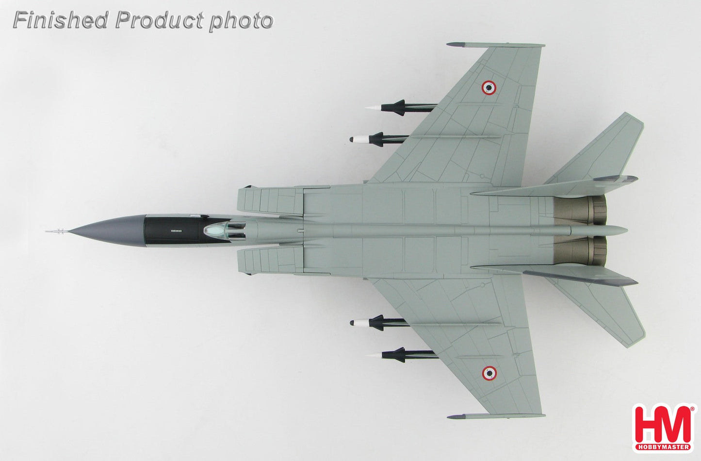 1/72 MIG-25PD Foxbat 5th Aerial Squadron Syrian AAF Tiyaz AB 1985