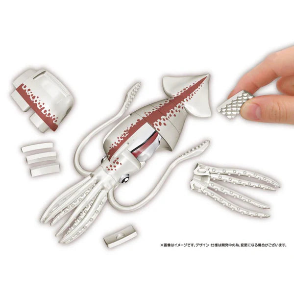 3D Puzzle Squid