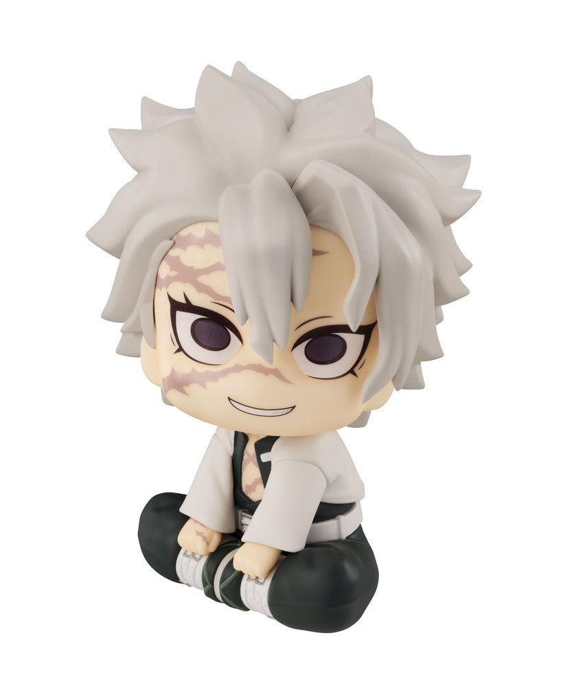 Lookup Demon Slayer Shinazugawa Sanemi